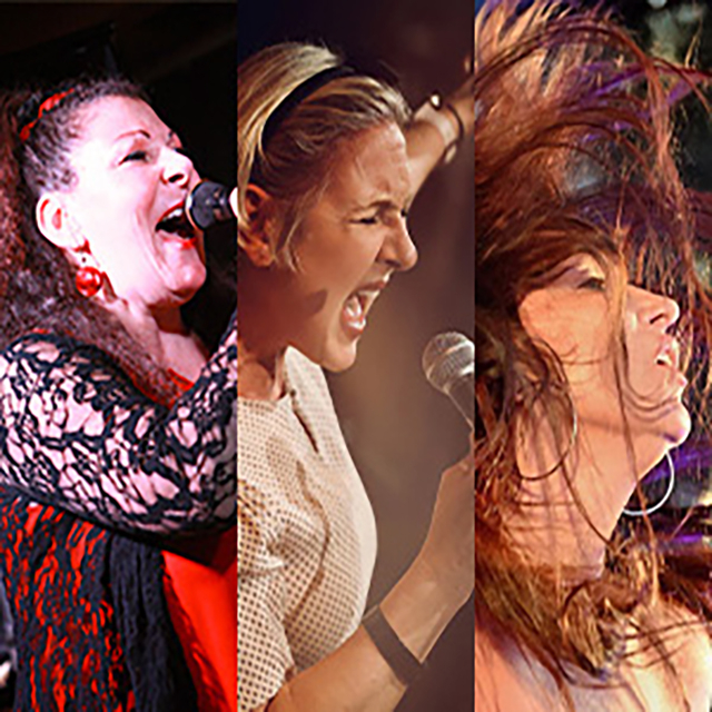 Mannheim Soul Voices