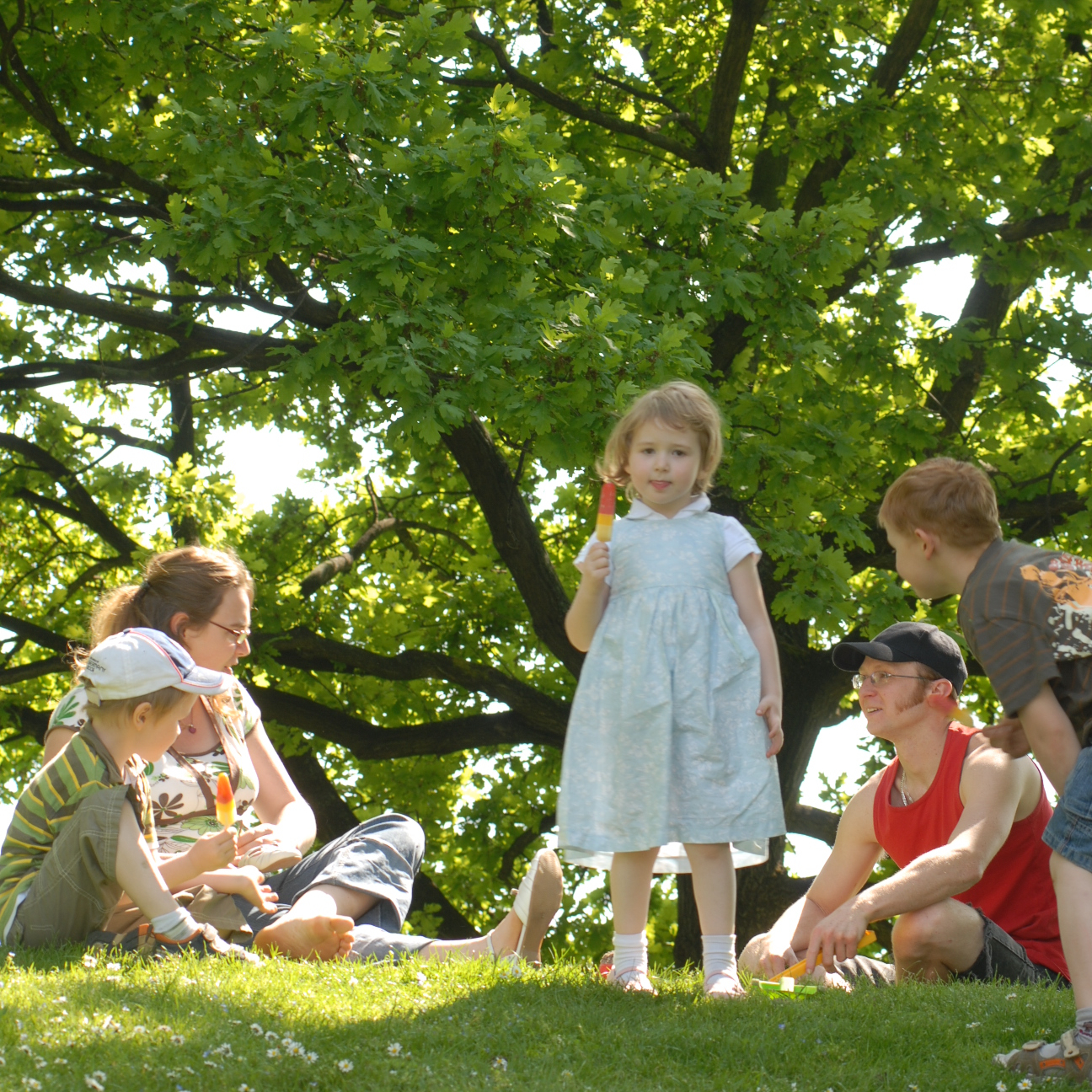 Tageskarten Familientarife