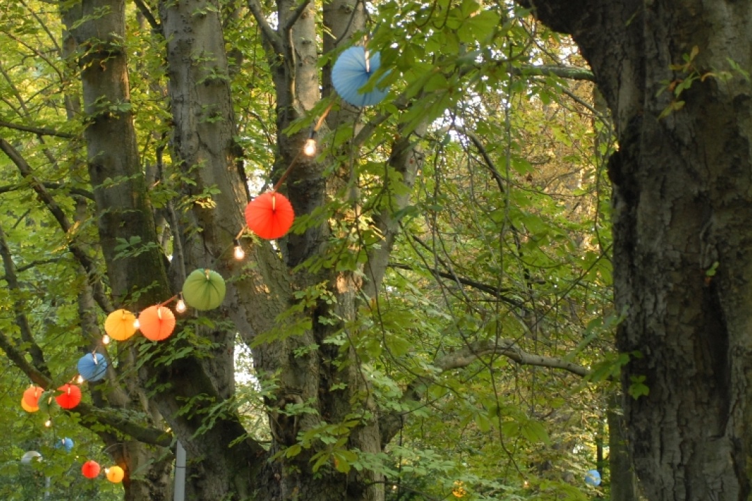 Bild für Veranstaltungen im Park