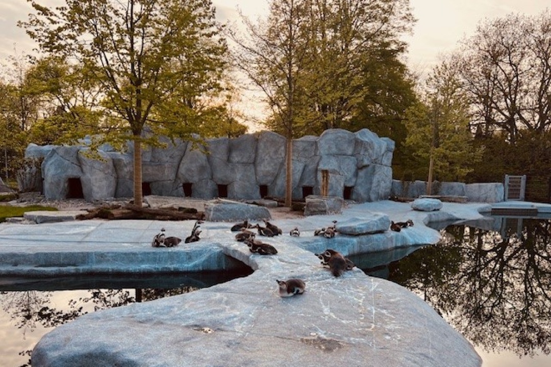 Bild für Führungen & Rendezvous