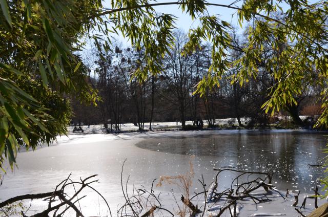 Design: Herzogenriedpark Winter
