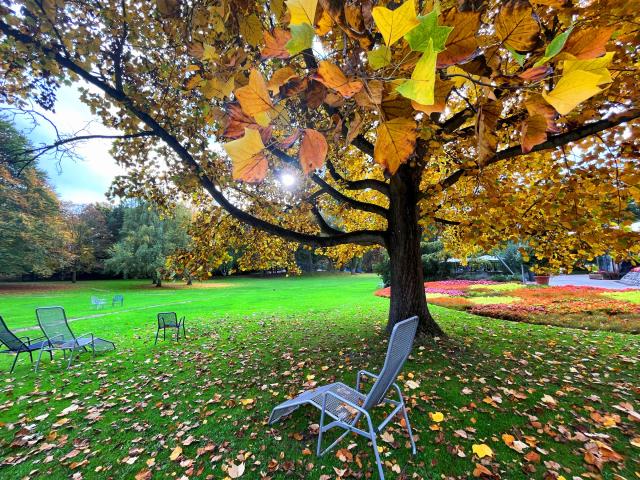 Design: Herzogenriedpark Herbst